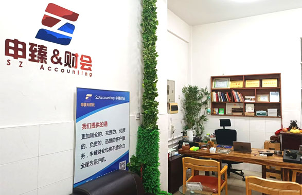 沈陽(yáng)代帳會(huì)計(jì)